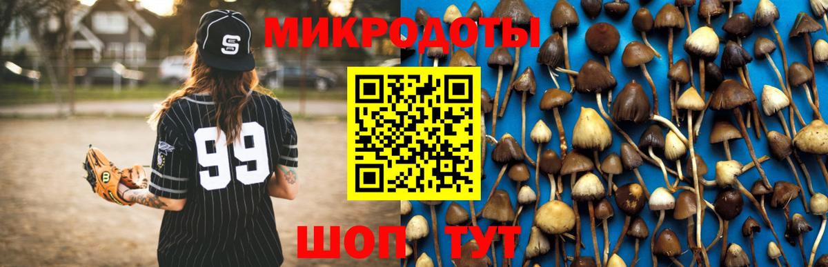 Галлюциногенные грибы GOLDEN TEACHER  Вход с VPN  Назрань 