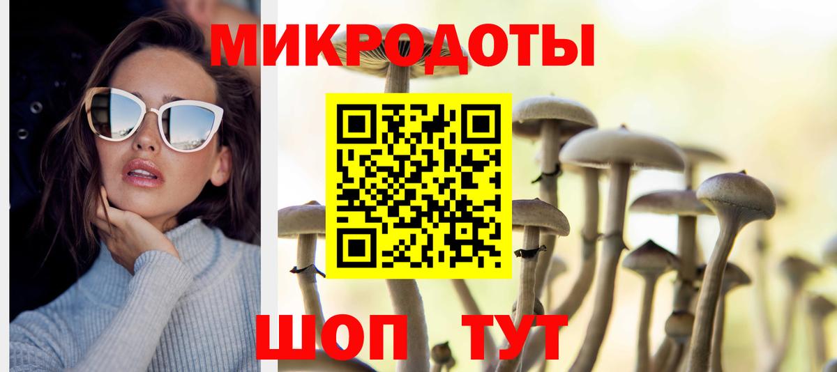 Галлюциногенные грибы Psilocybe Назрань